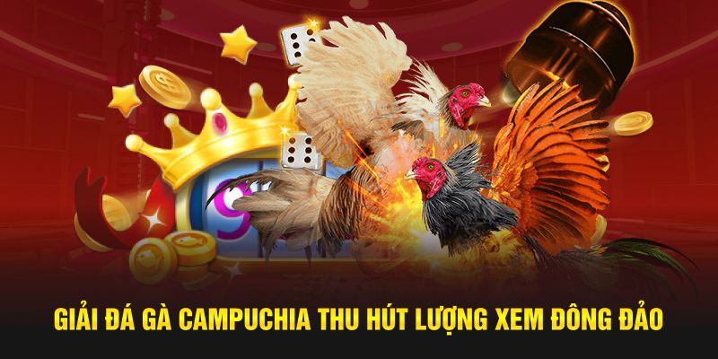 Giải đá gà Campuchia thu hút lượng xem đông đảo 