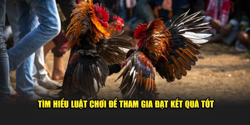 Tìm hiểu luật chơi để tham gia đạt kết quả tốt