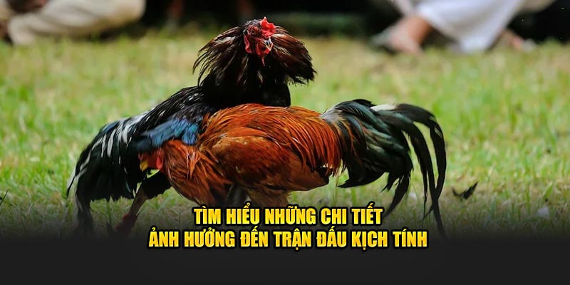 Tìm hiểu những chi tiết ảnh hưởng đến trận đấu kịch tính