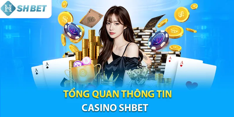Tổng quan về Casino Shbet – Sân xanh chín hiện nay